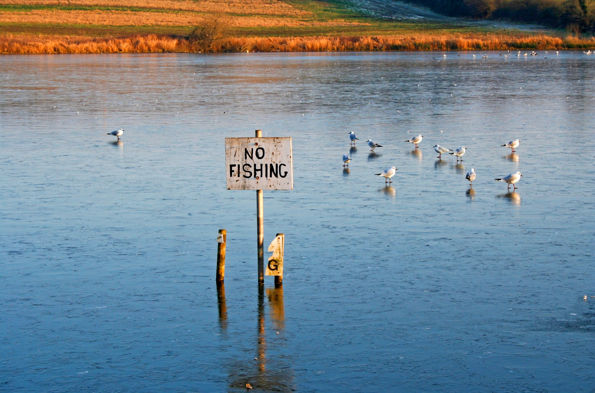 no fishing lake ice free photo