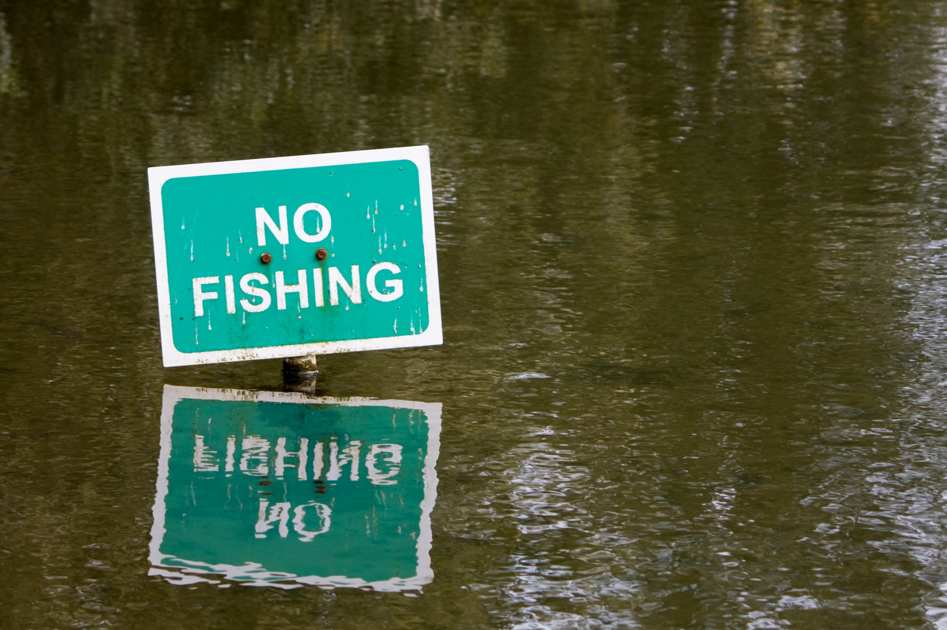 no fishing sign no fishing sign free photo