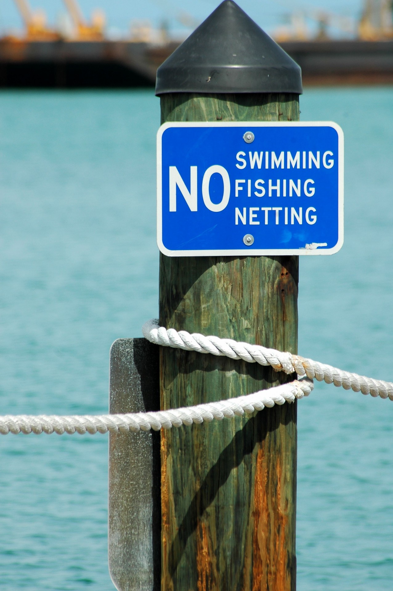 no fishing no netting no swimming free photo