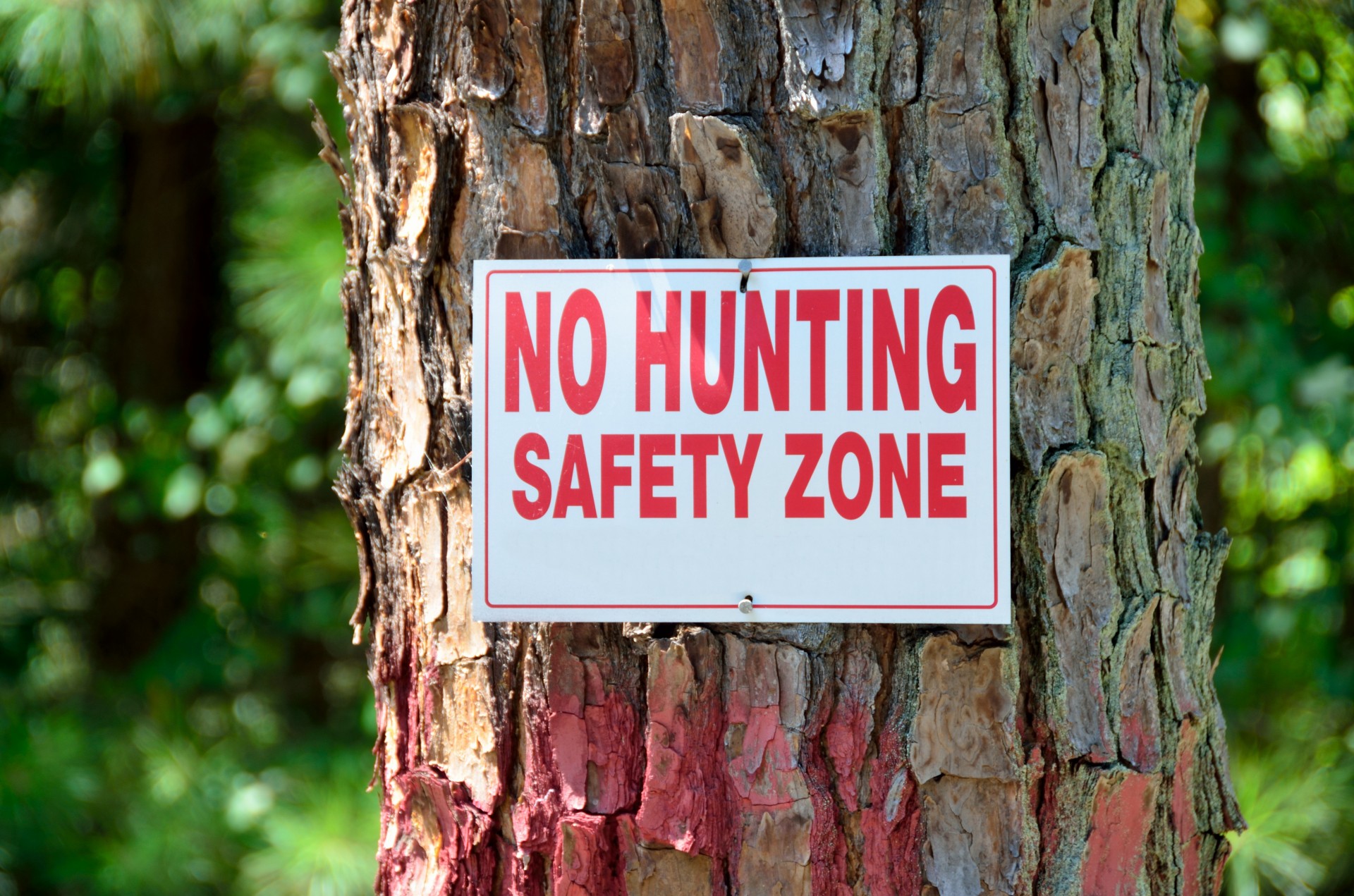 no hunting sign safety free photo