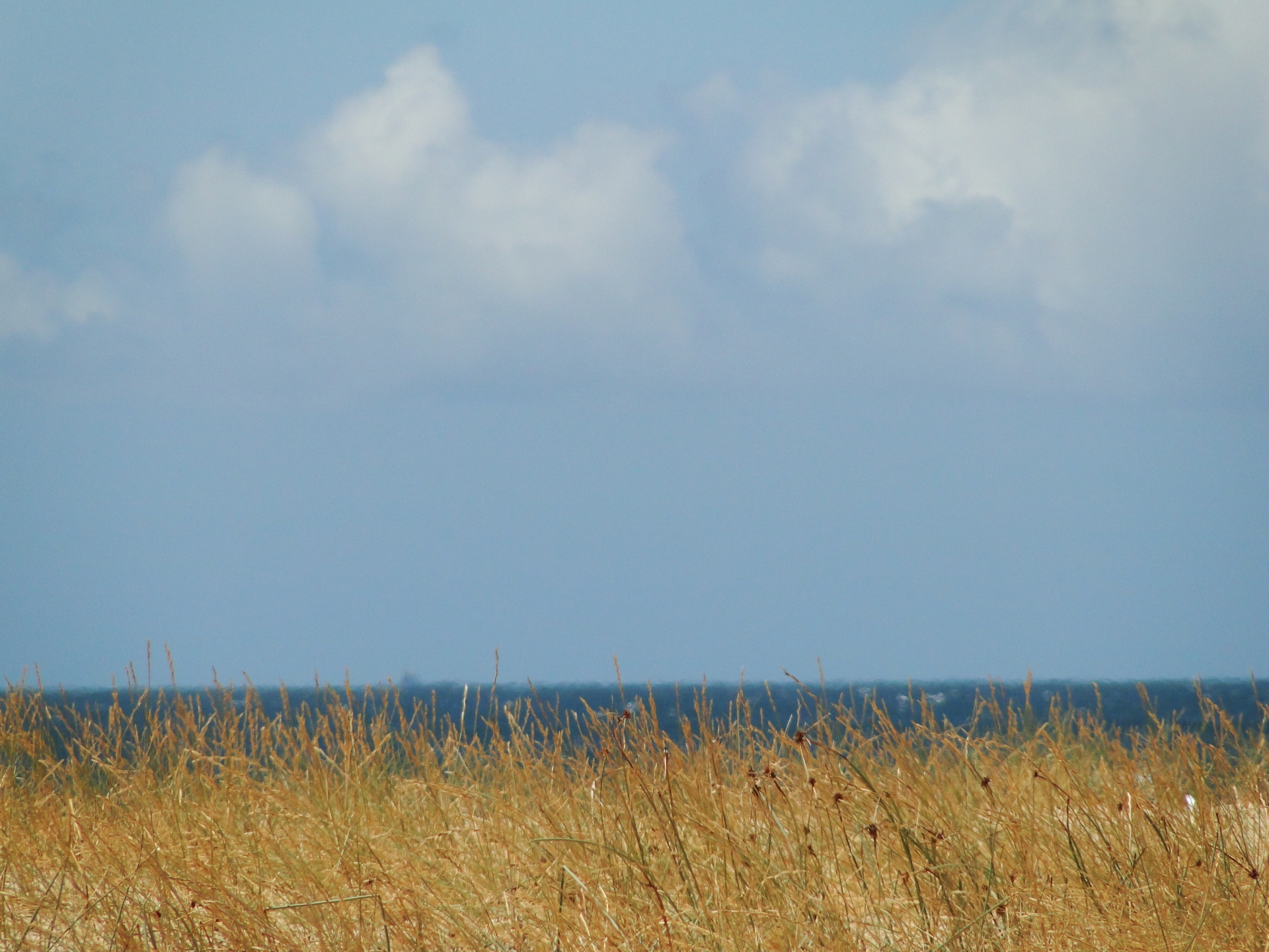 sea blue sky free photo