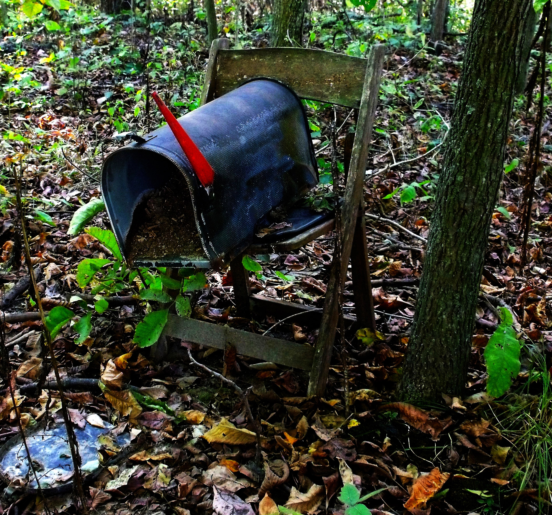 mail box no mail today free photo