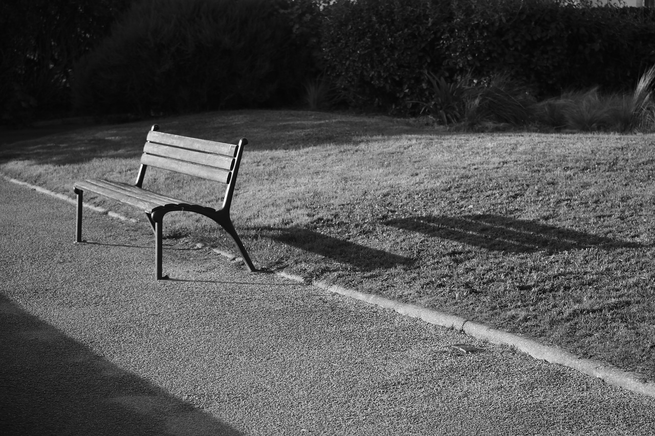 no person bench outdoor free photo