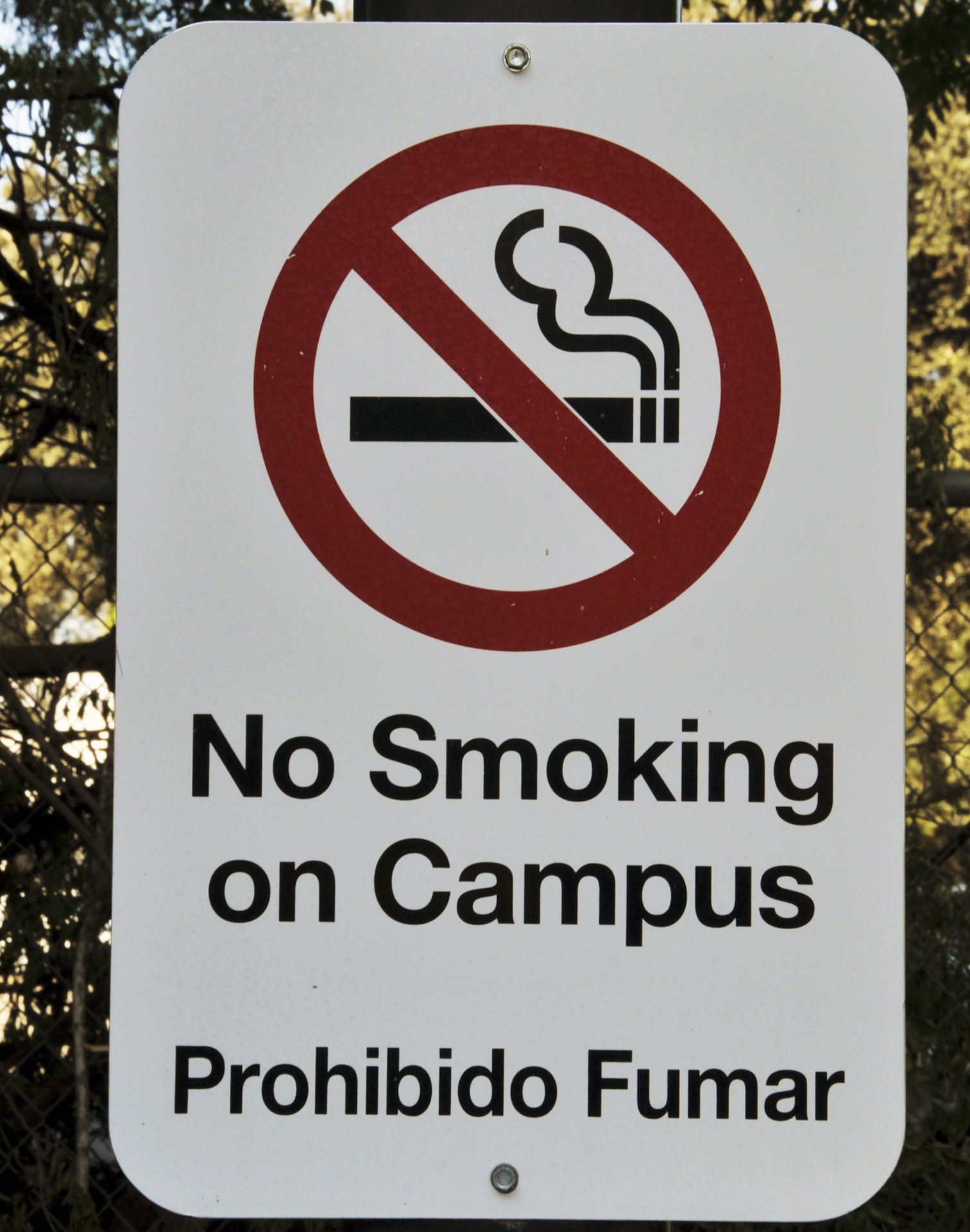 no smoking sign no smoking smoking free photo