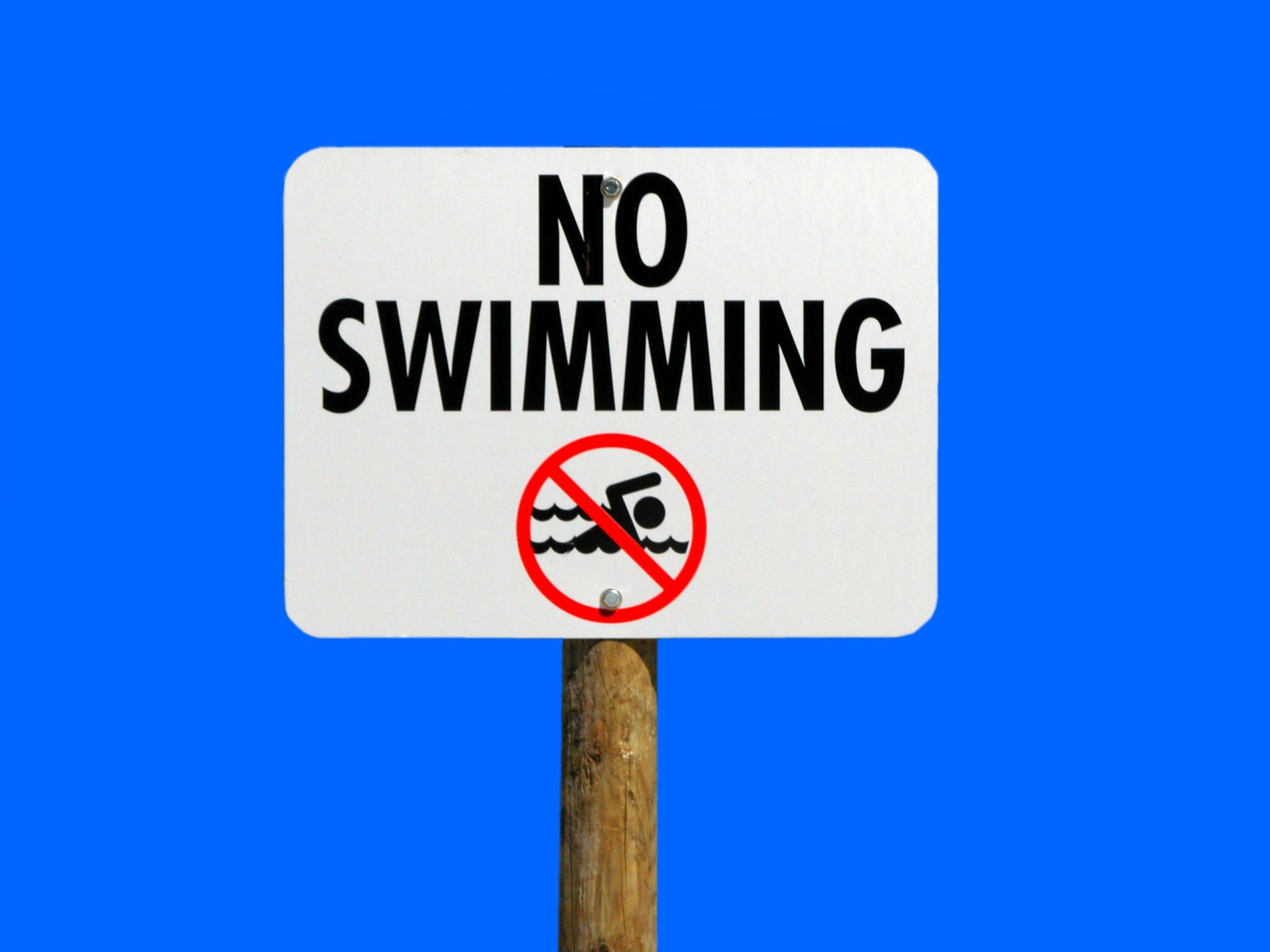 no swimming sign warning free photo