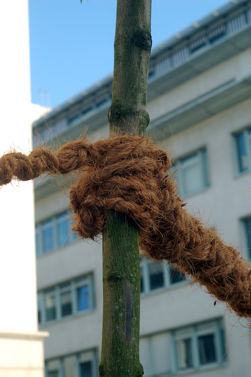 node rope bond free photo