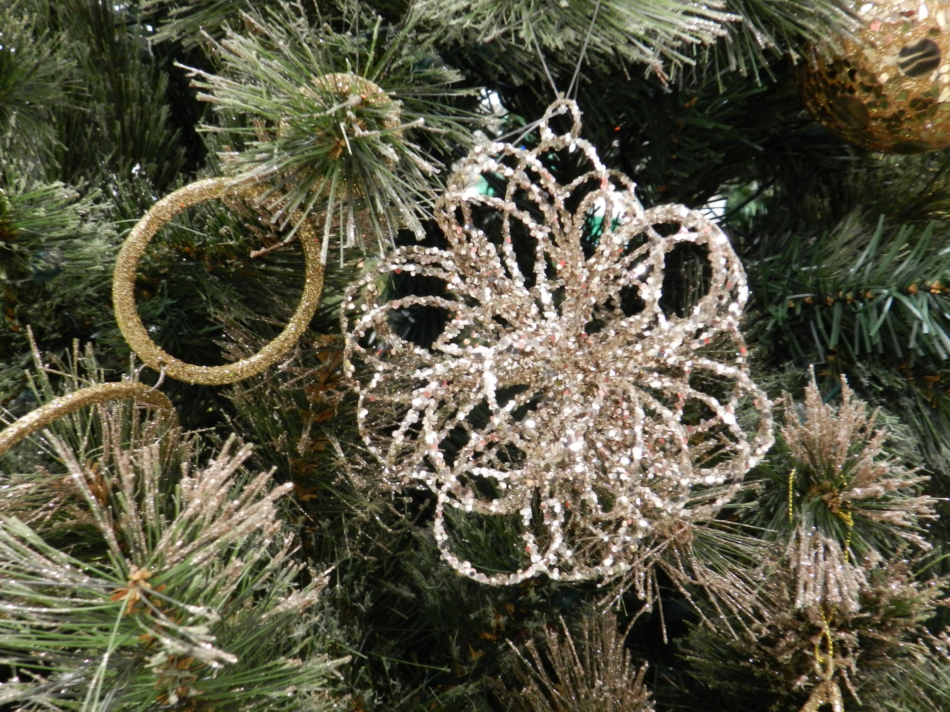 christmas tree decoration free photo