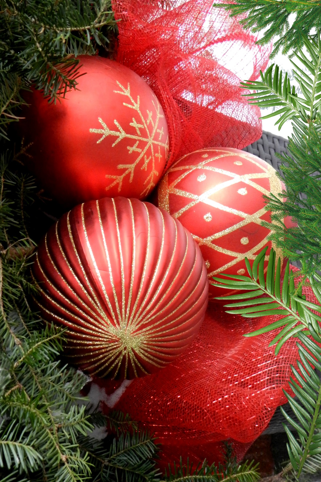 christmas decor tree balls free photo