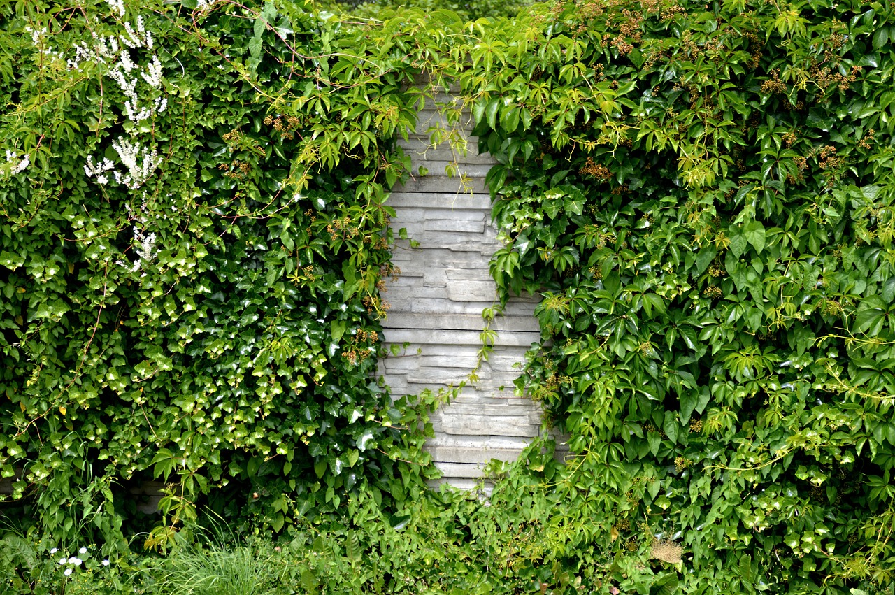 noise barrier hedge wall free photo