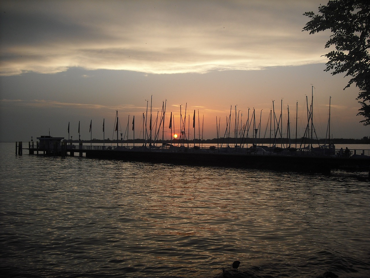 nonnenhorn lake constance district of lindau free photo