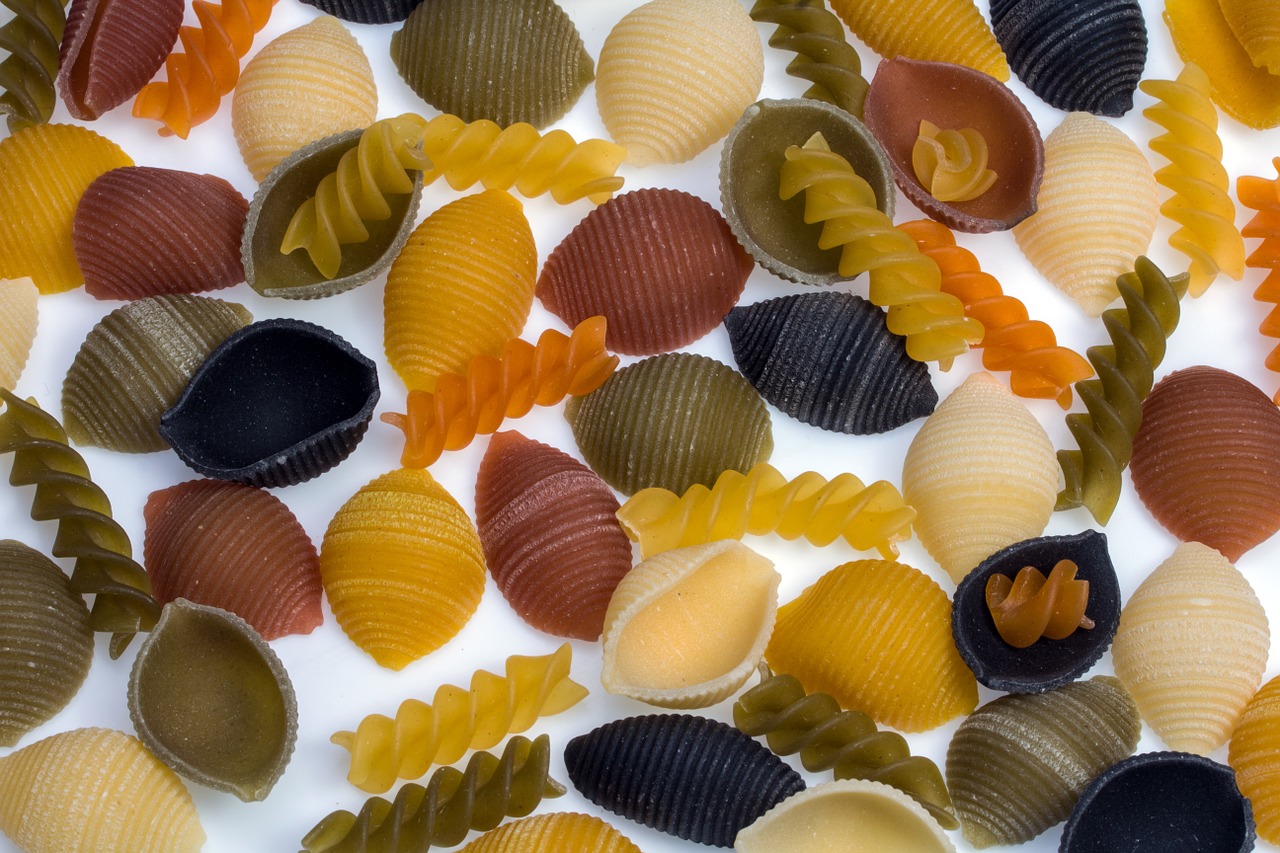 noodles clam pasta colorful free photo