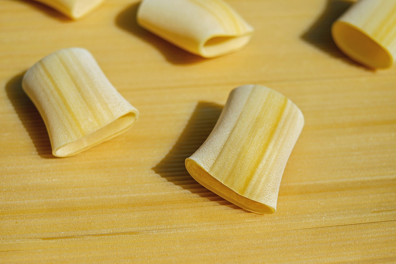 noodles raw paccheri giganti free photo