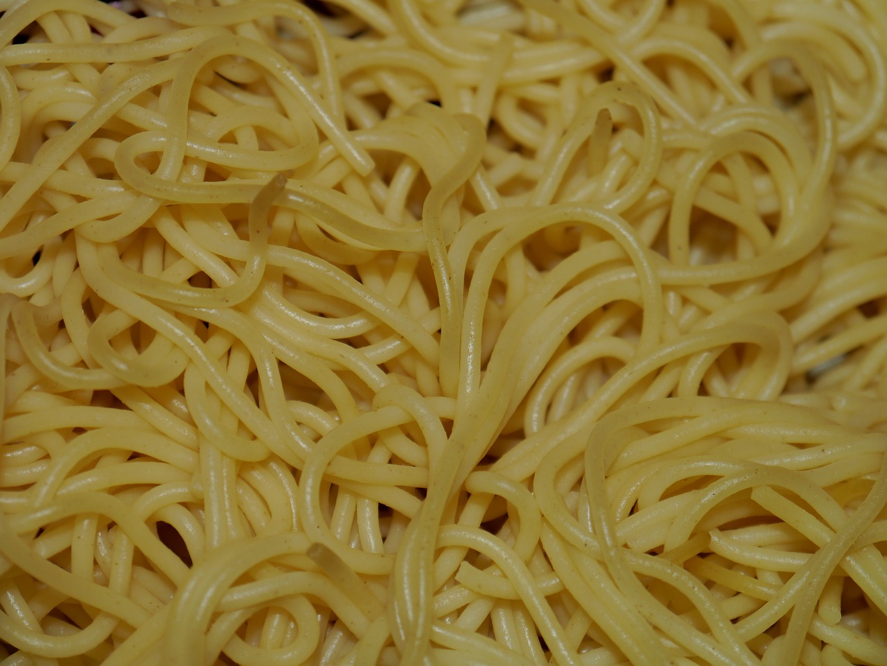 noodles spagetti durum wheat free photo