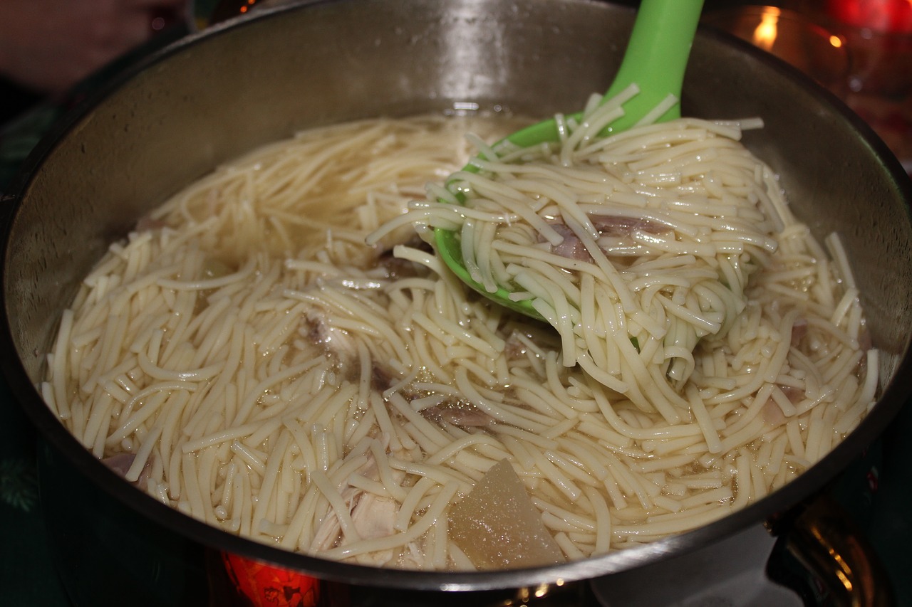 noodlestew noodle soup noodles free photo