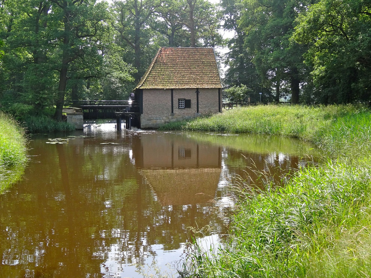 noordmolen deldeneresch water mill free photo