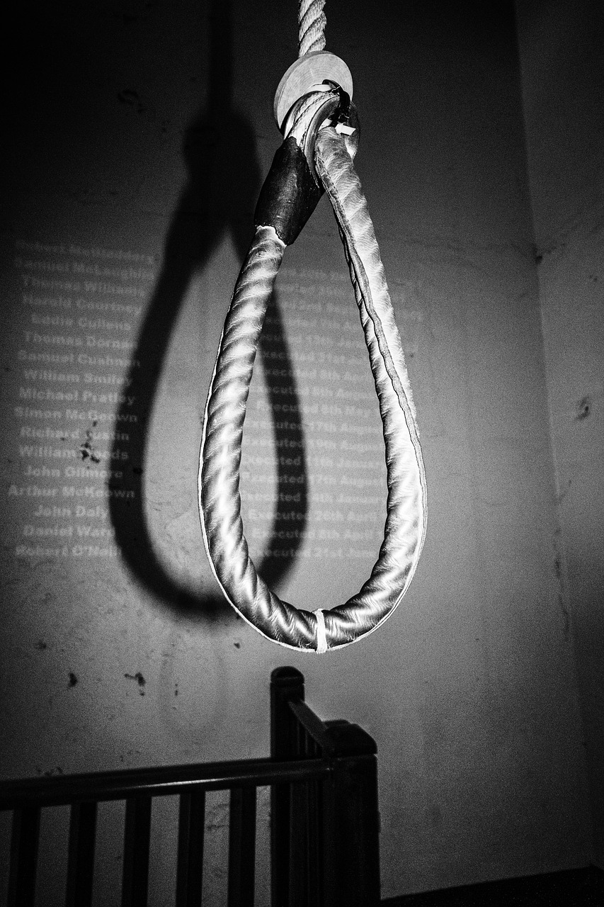 noose  hangman  rope free photo