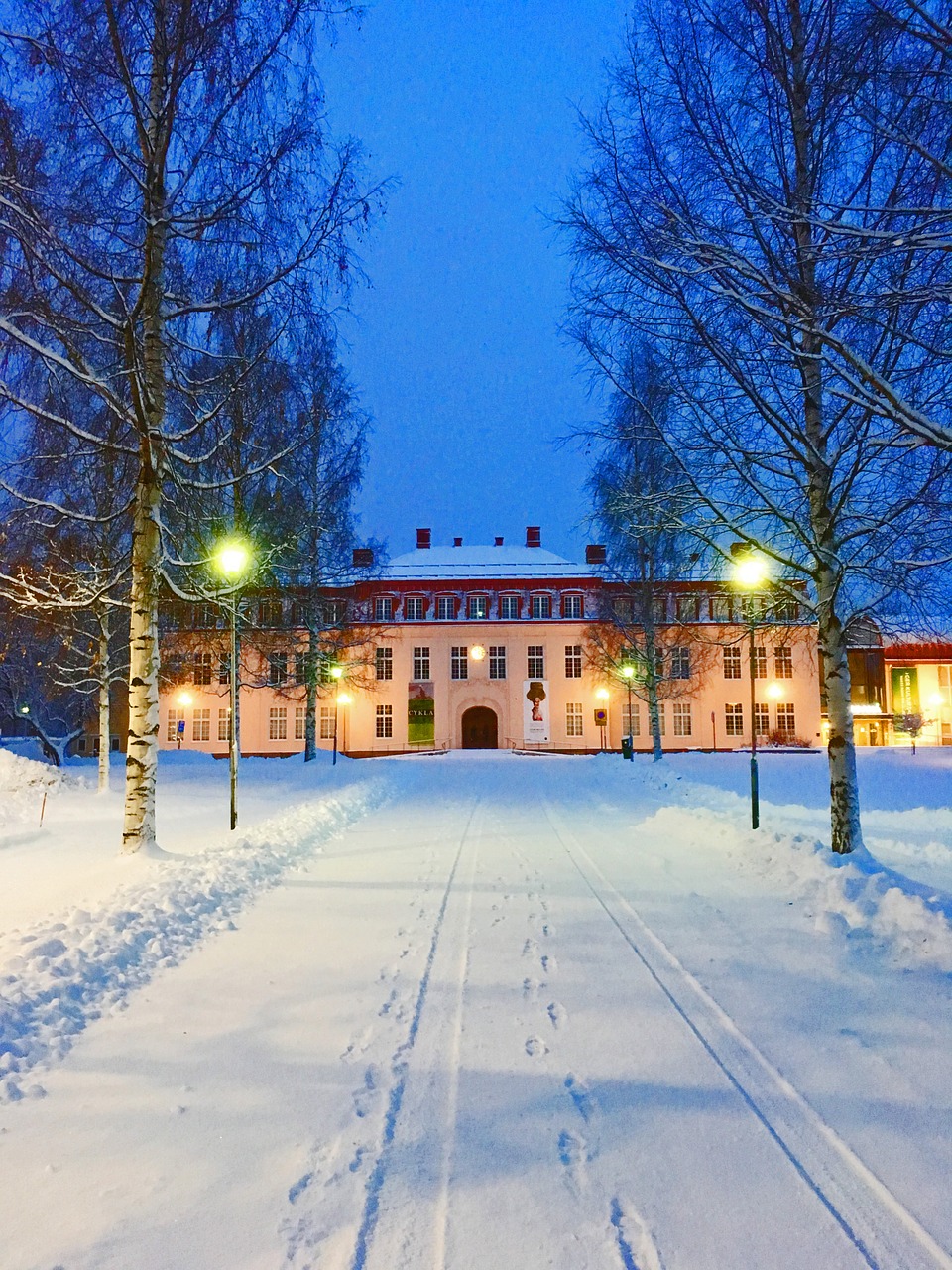 nordanå skellefteå winter free photo