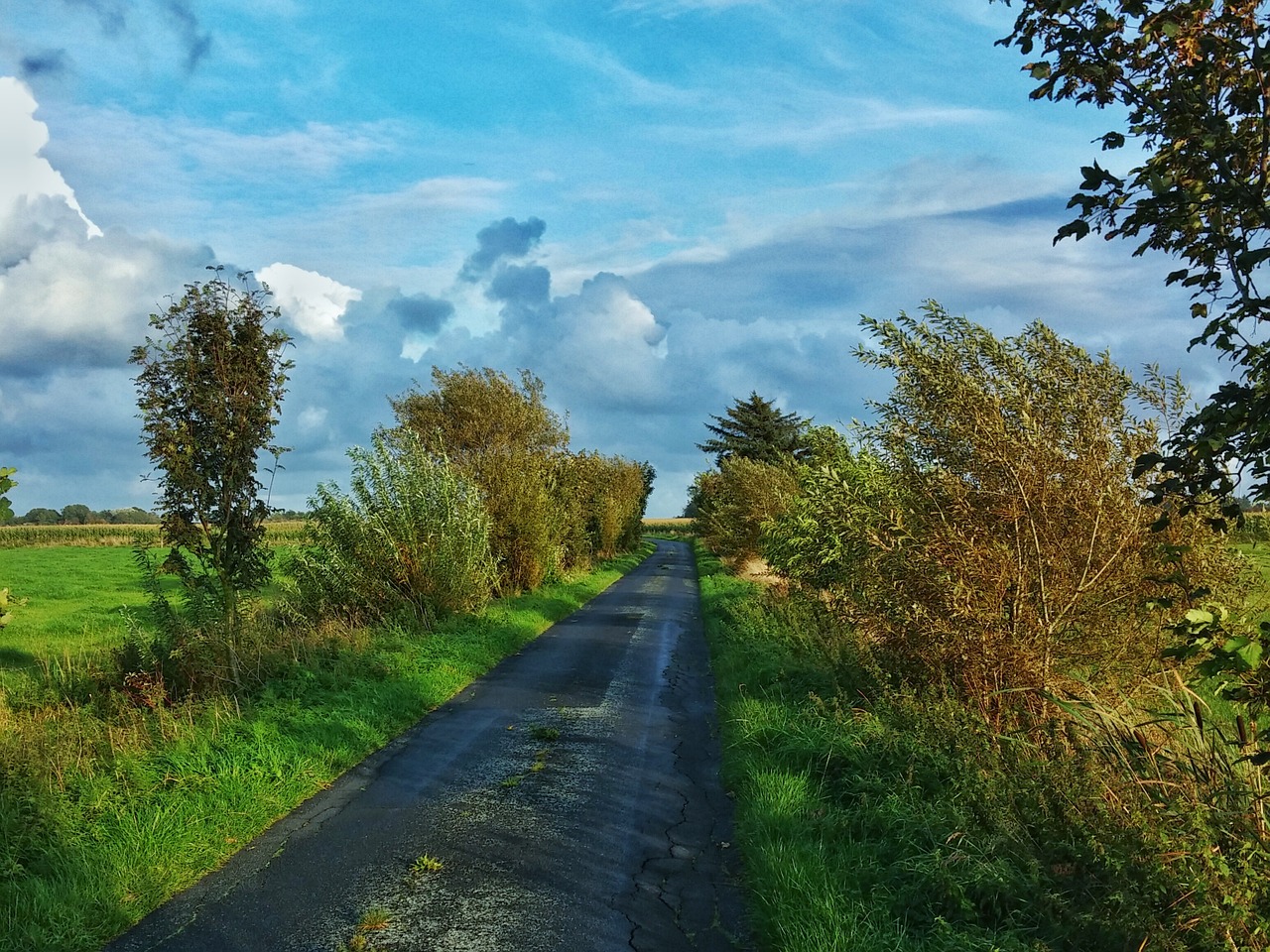 nordfriesland sky autumn free photo