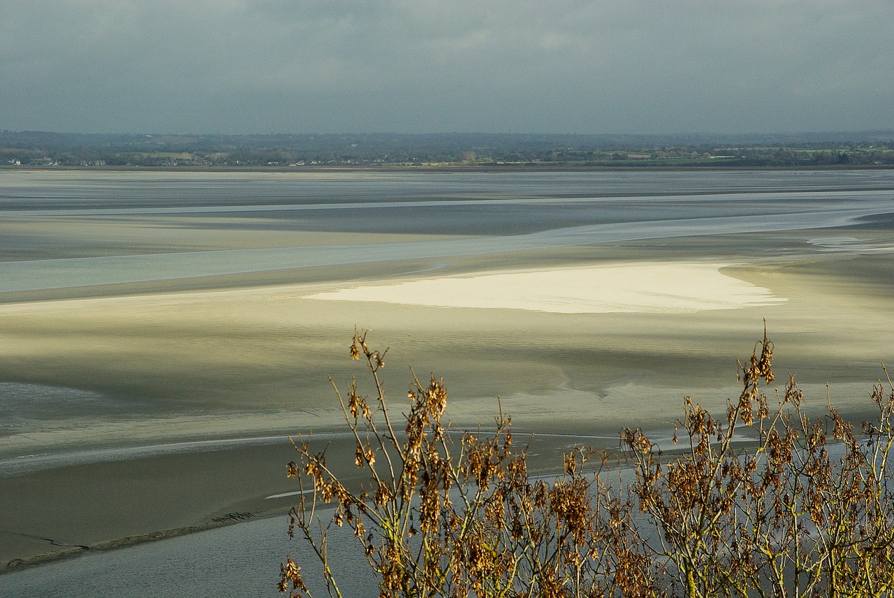 normandy bay low tide free photo