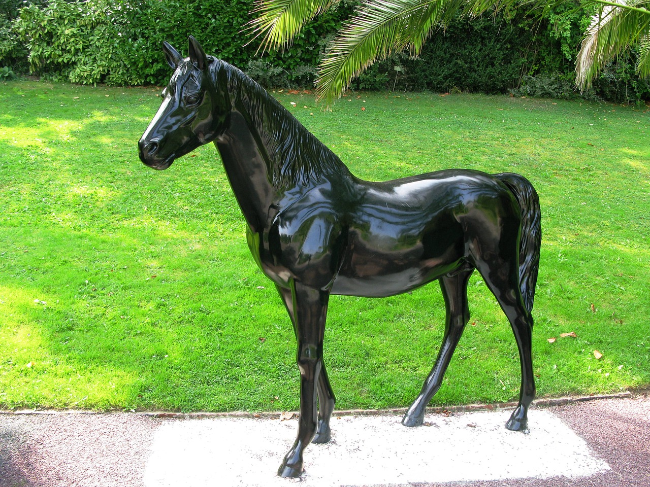 normandy horse image free photo