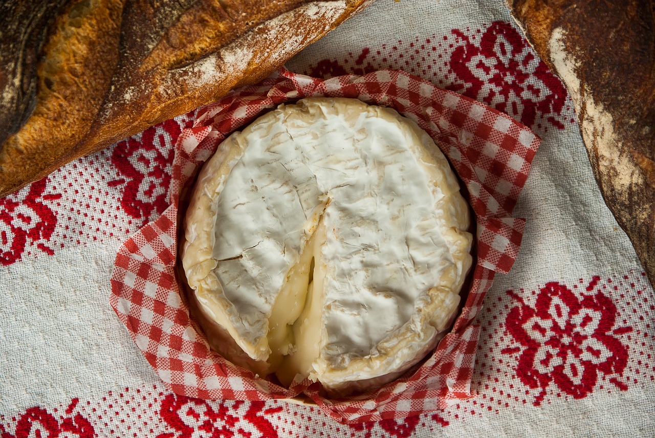 normandy camembert cheese free photo