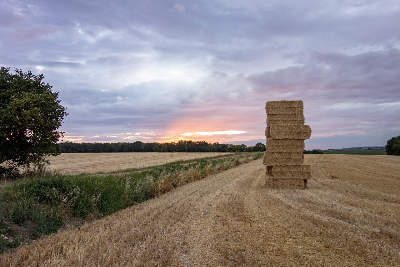 normandy  france  fields free photo