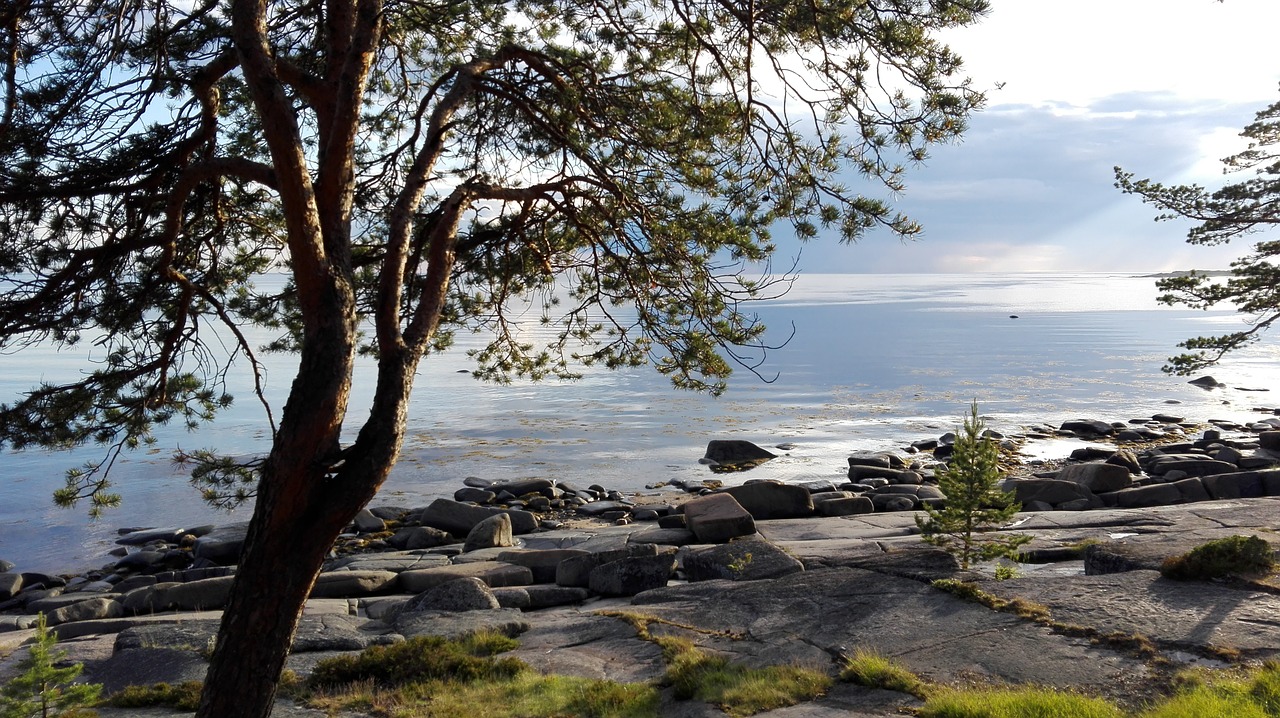 north onega white sea free photo