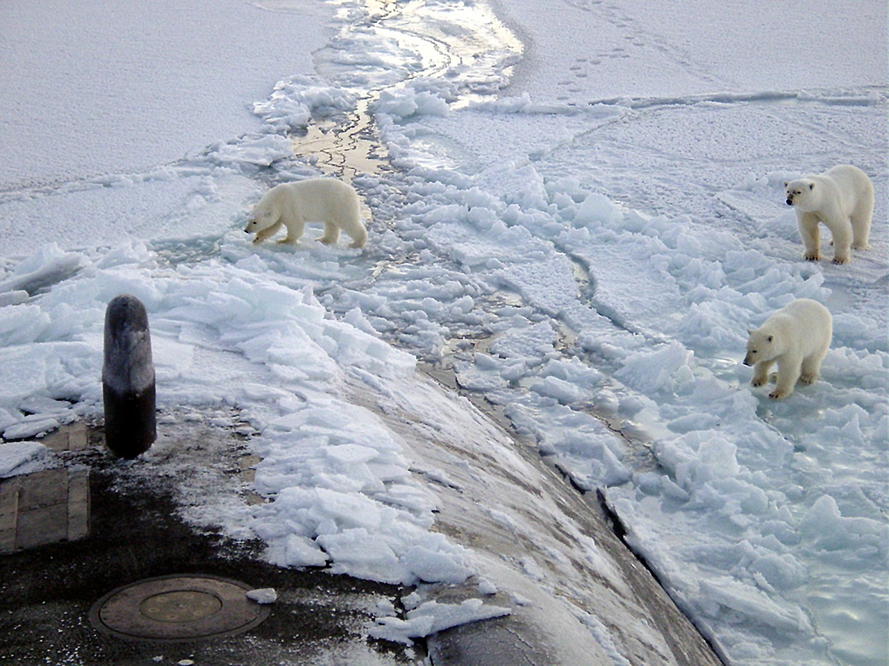 north pole iceberg free photo