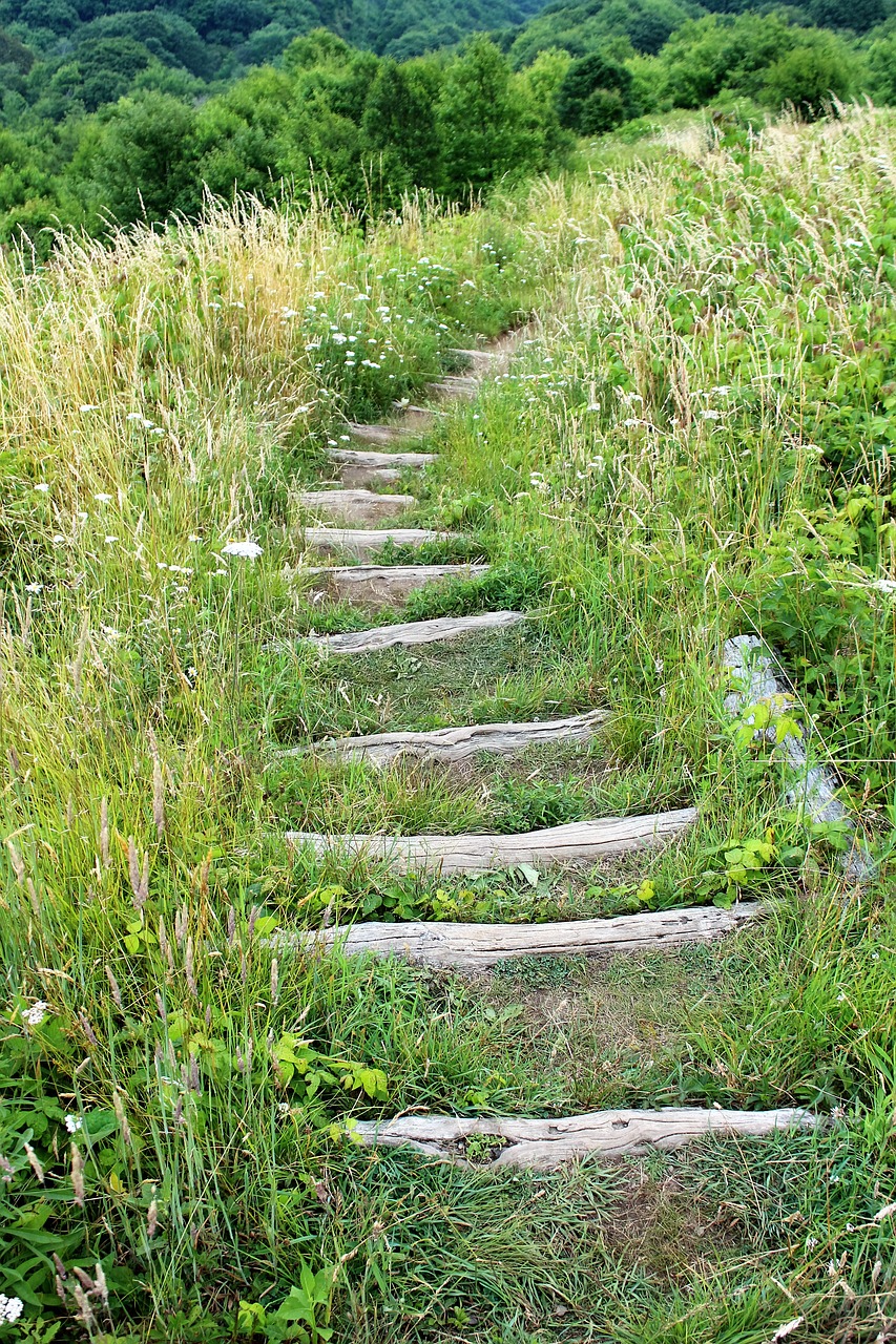 north carolina mountains path free photo