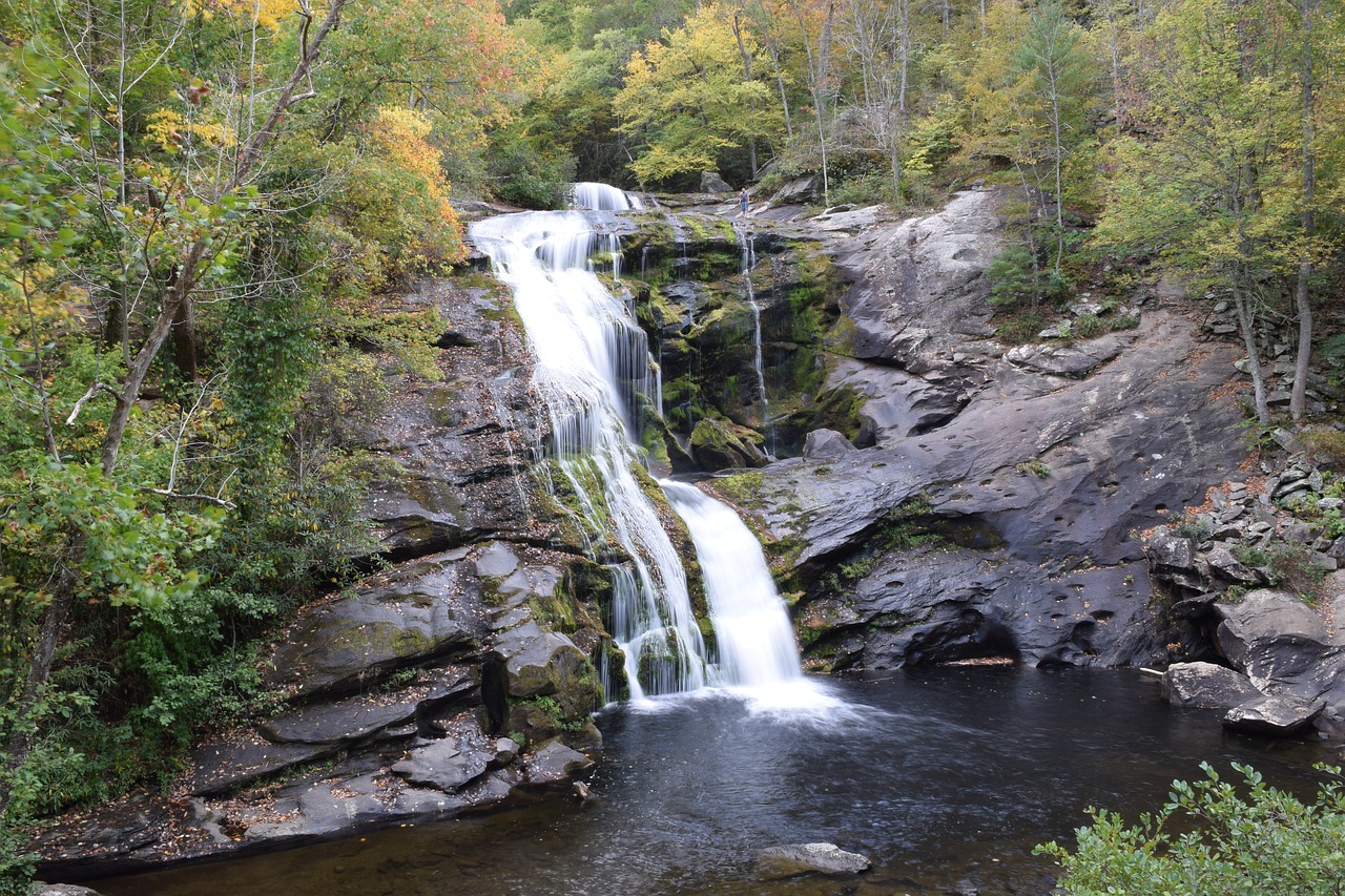 north carolina  nature  outdoor free photo