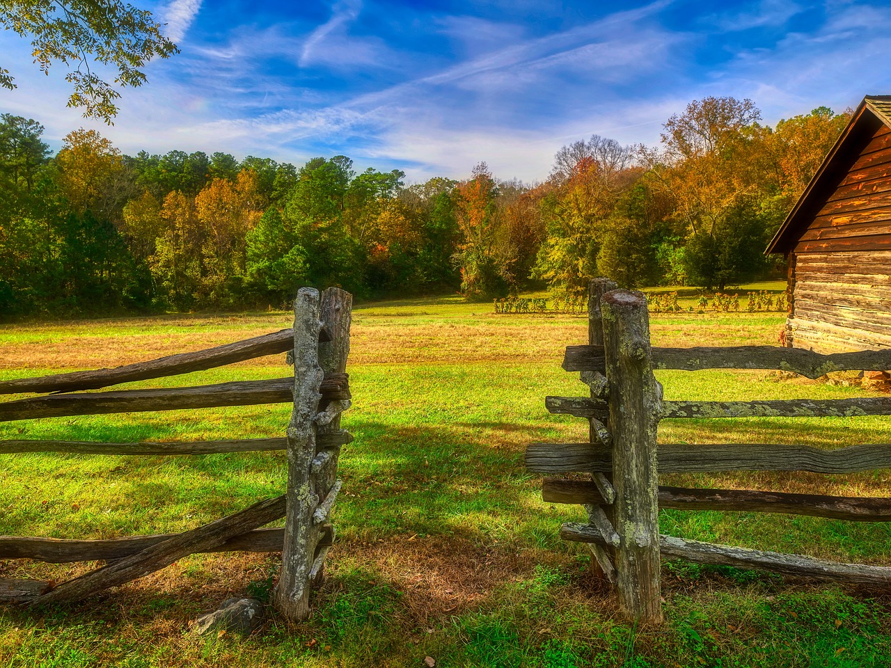 north carolina  america  fall free photo