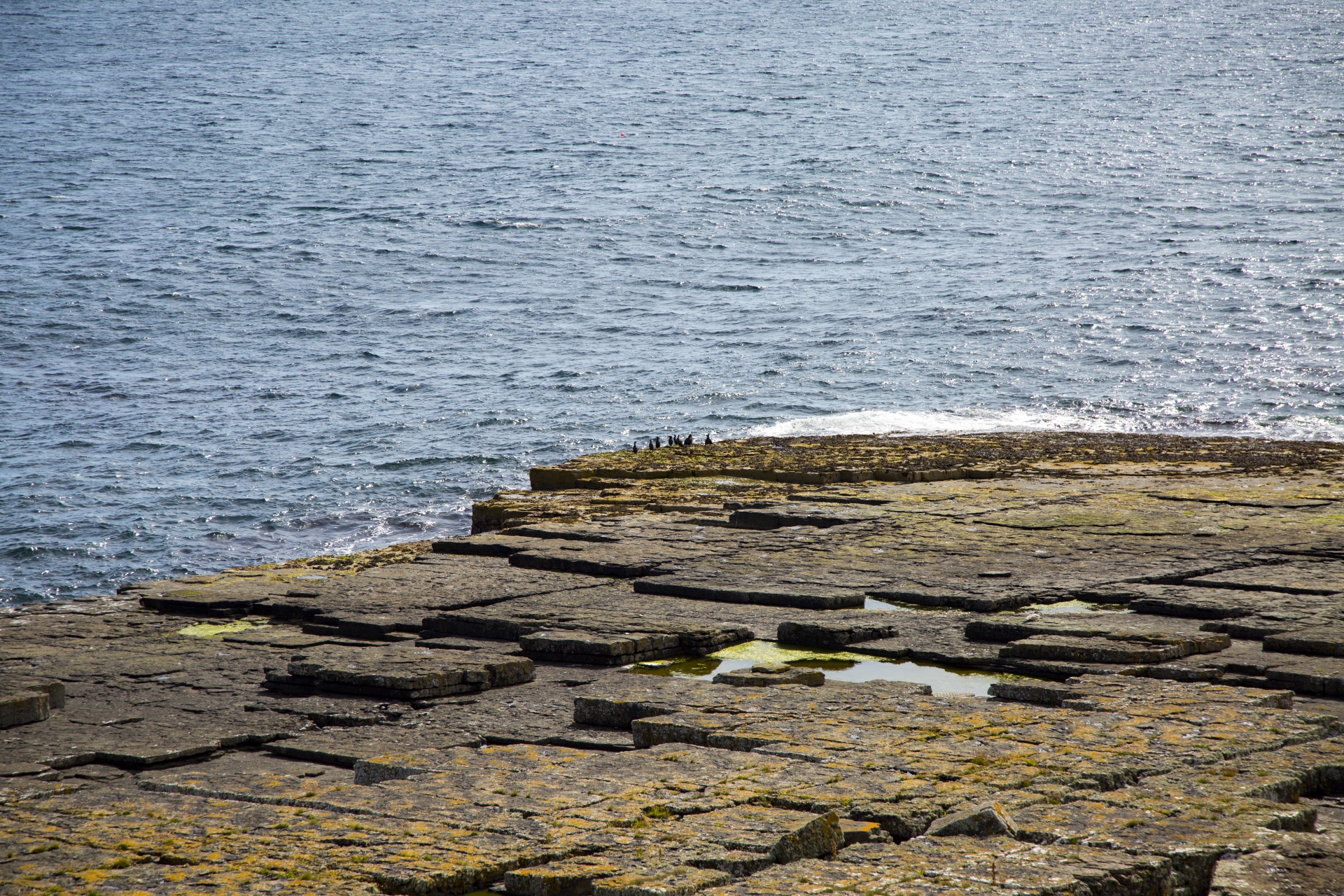 north sea coast free photo