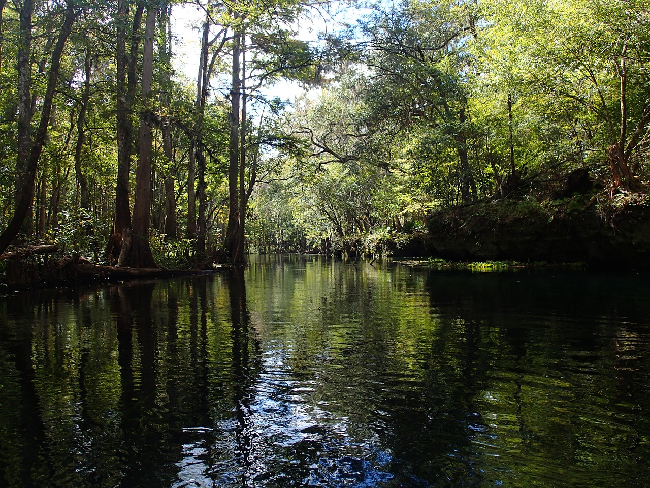 north florida river water free photo