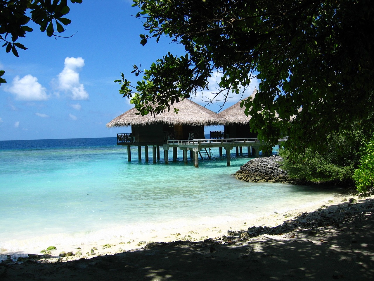 north male atoll bungalow maldives free photo