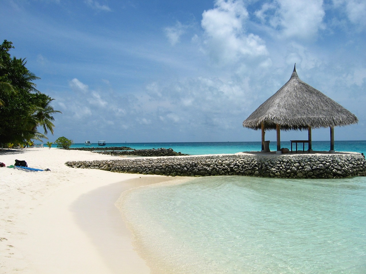 north male atoll island maldives free photo