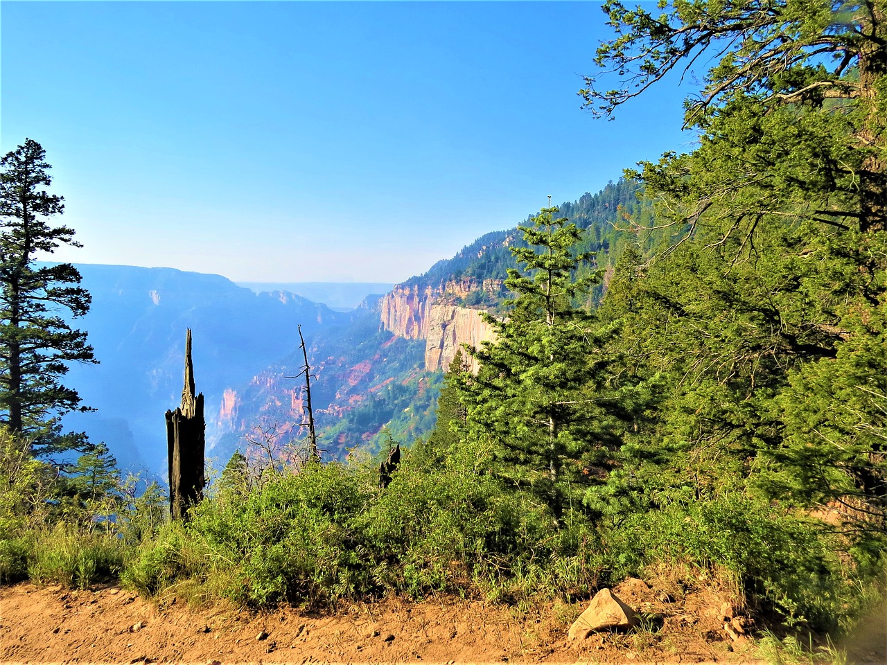 north rim grand canyon morning hike free photo