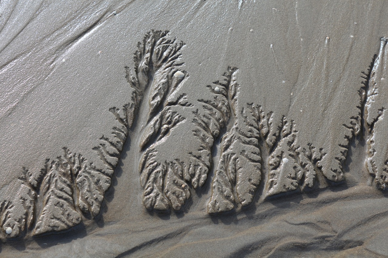 north sea wadden sea sand drawing free photo