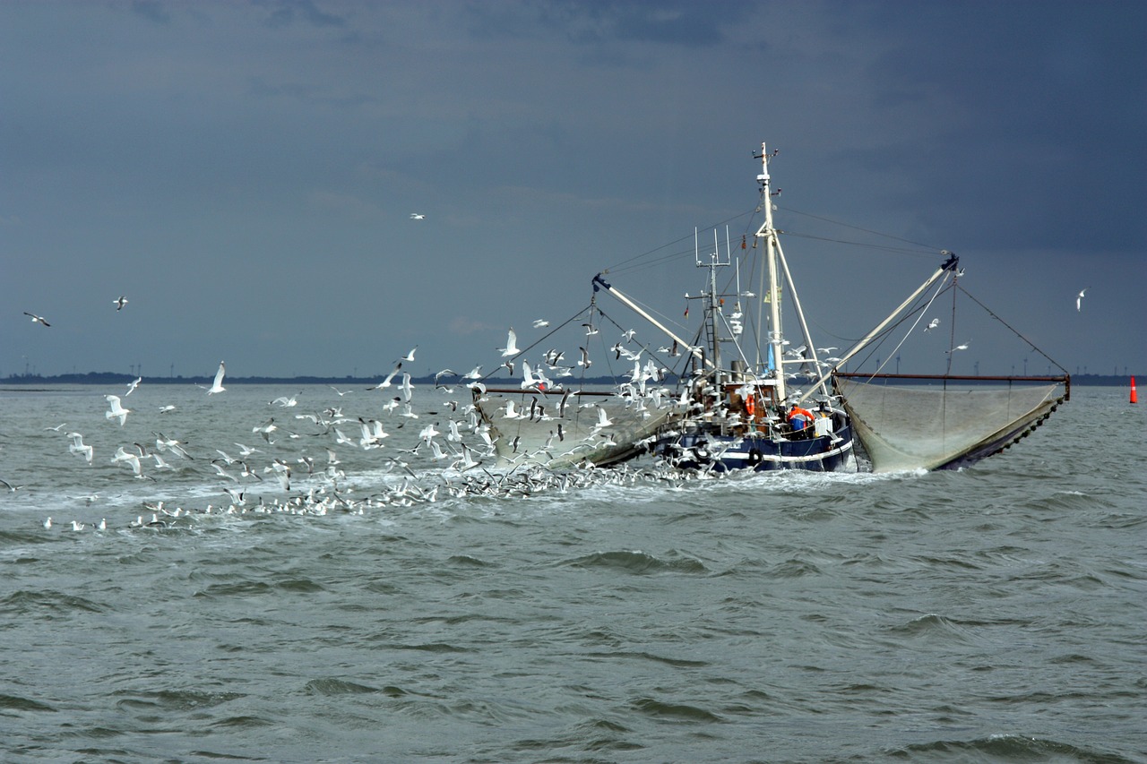 north sea fishing vessel gulls free photo