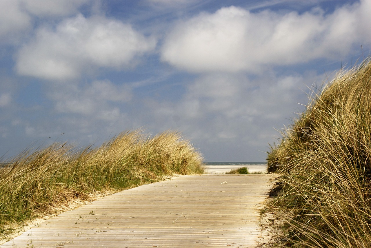 north sea beach dunes free photo