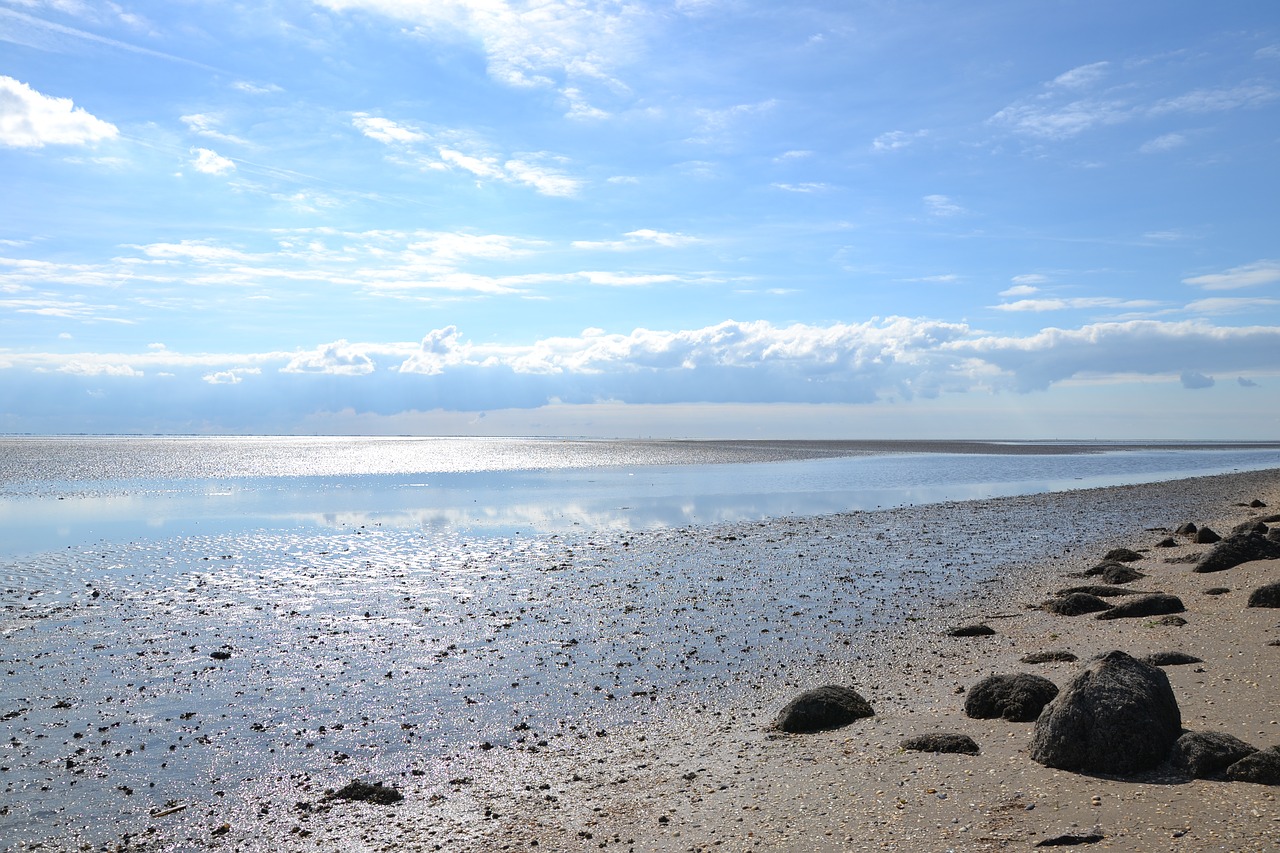 north sea watts wadden sea free photo