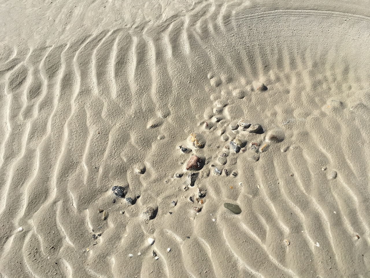 north sea beach sand free photo