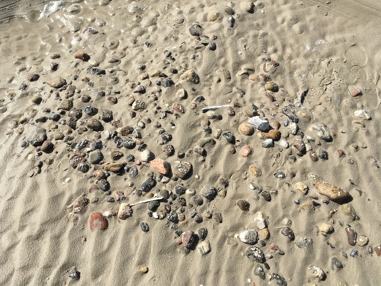 north sea beach sand free photo