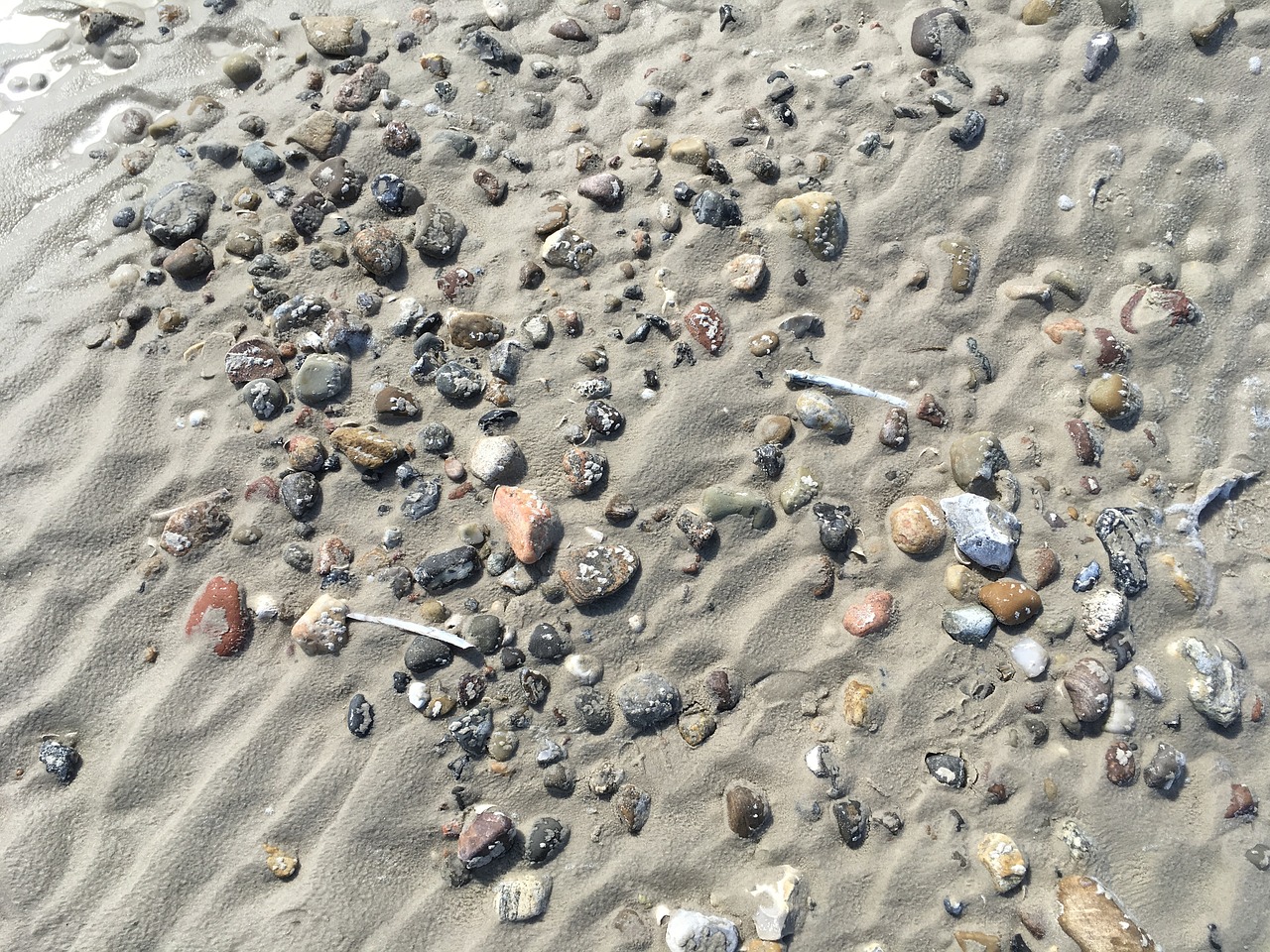 north sea beach sand free photo