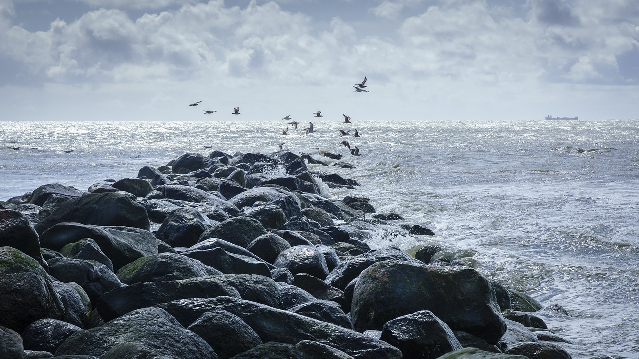 north sea sea beach free photo