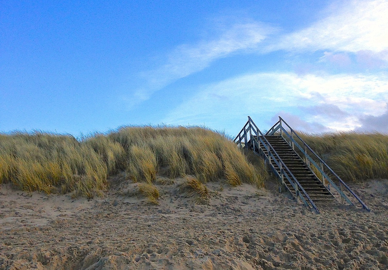 north sea sea beach free photo