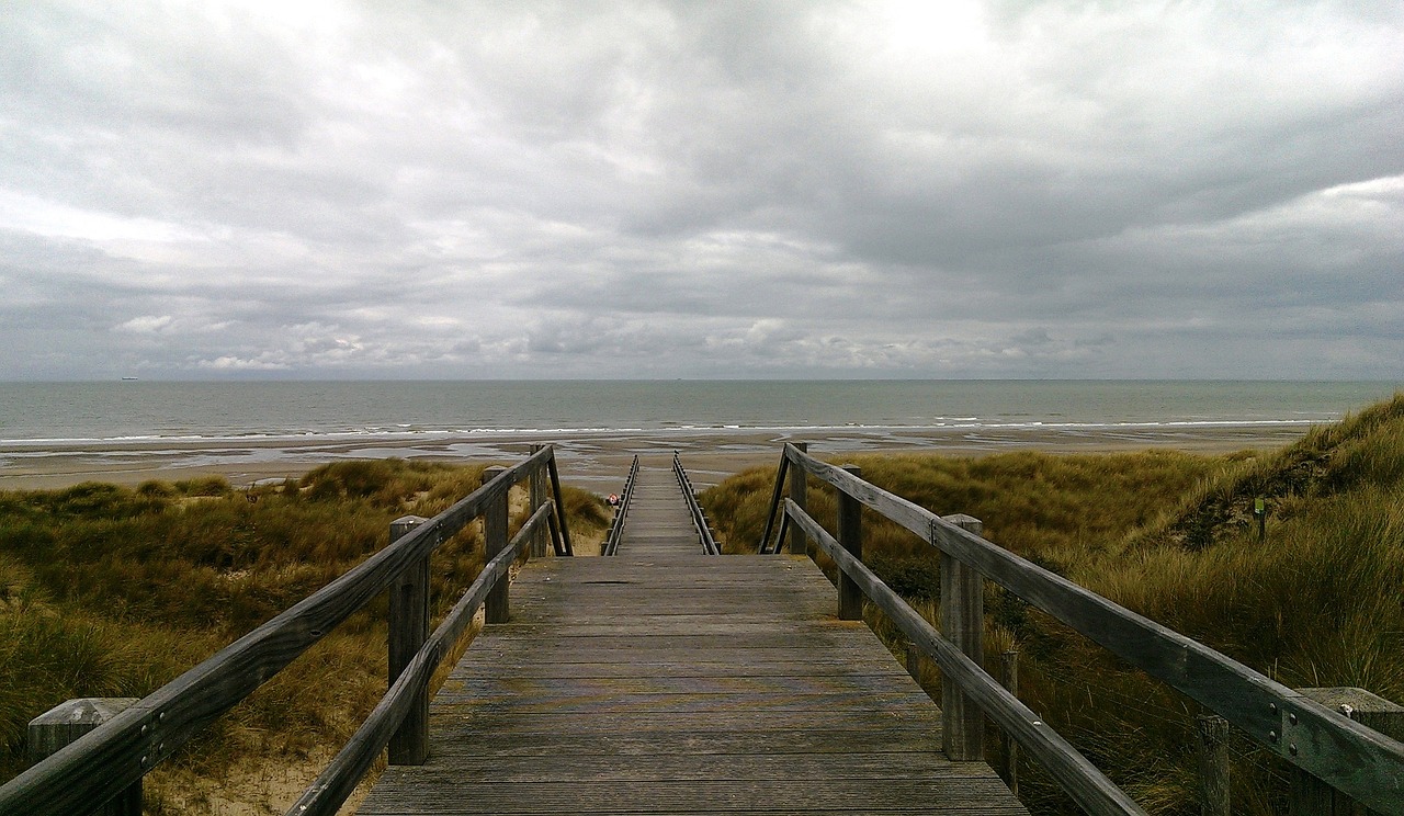 north sea beach horizon free photo