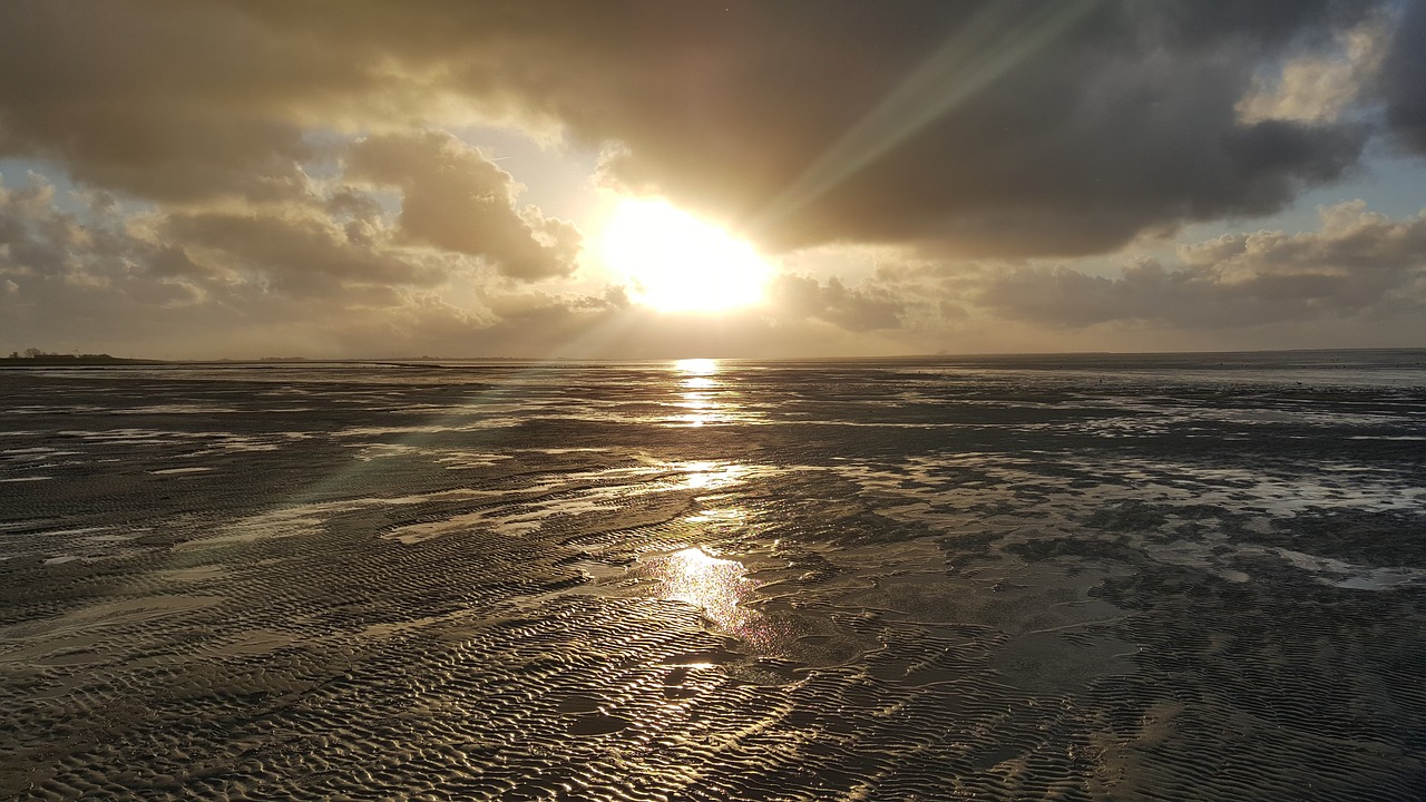 north sea sun beach free photo