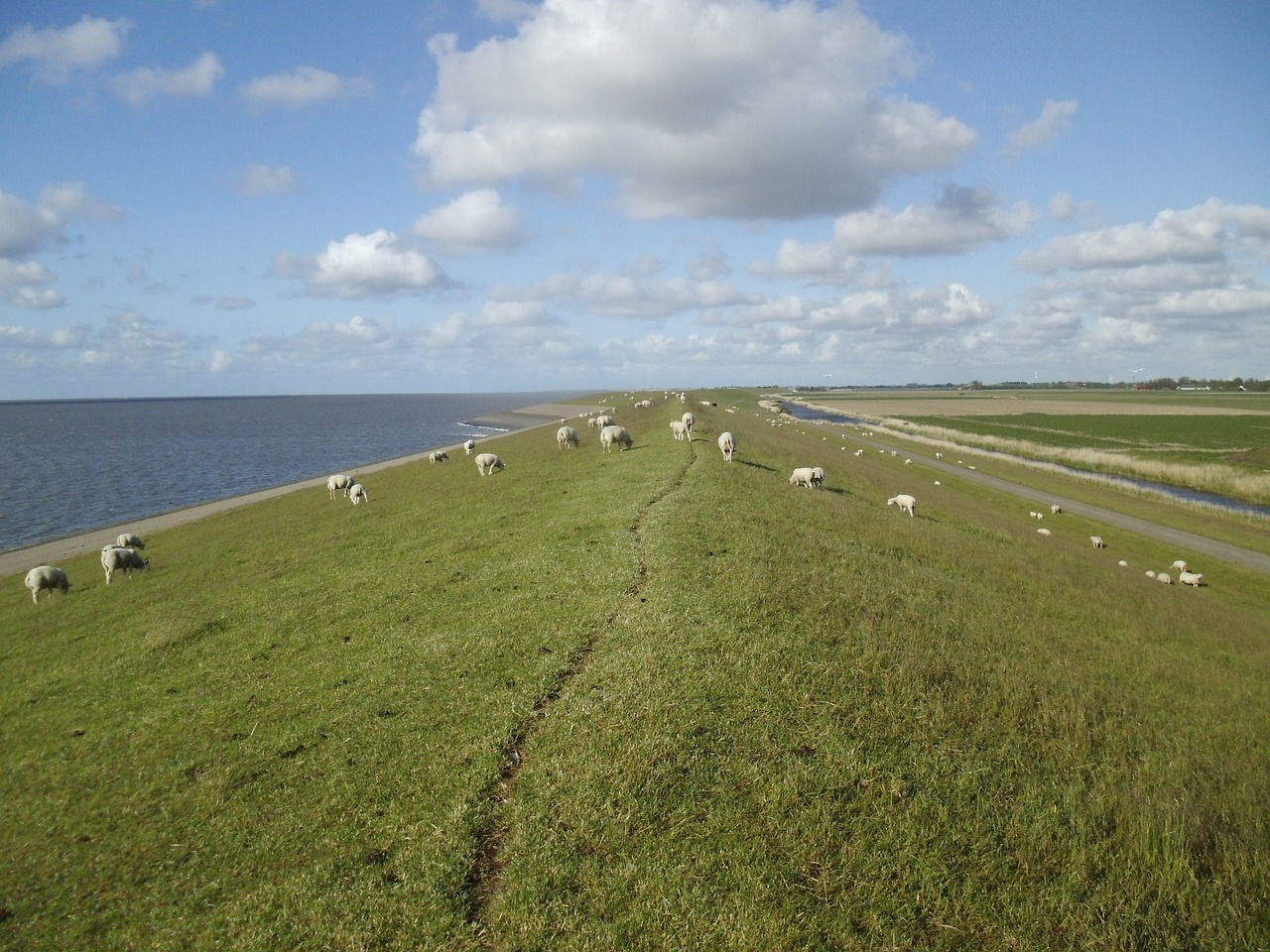 north sea sea nature free photo