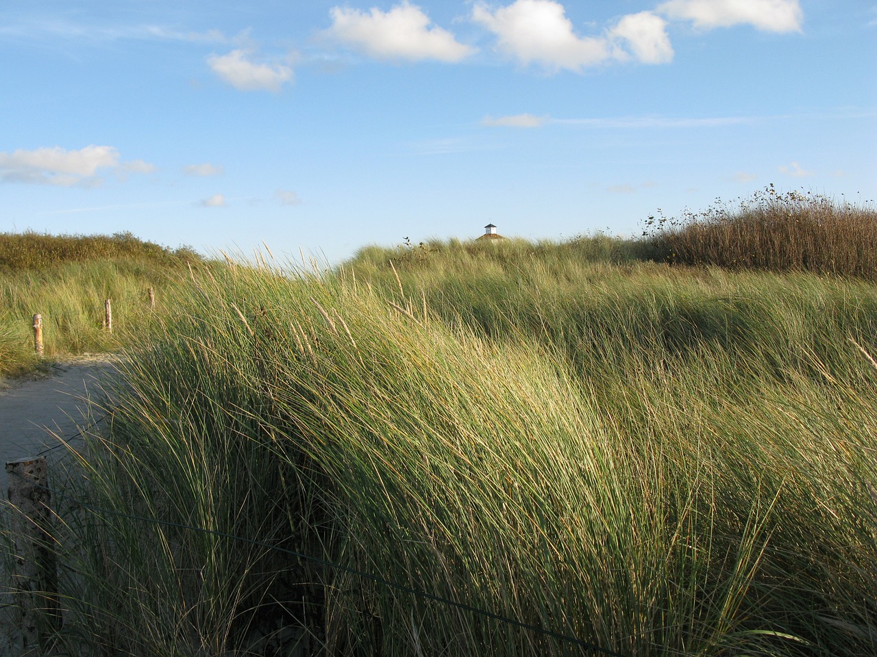 north sea dunes lighthouse free photo