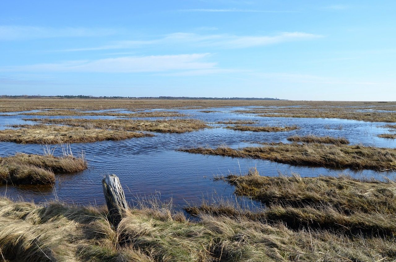 north sea wadden sea nordfriesland free photo